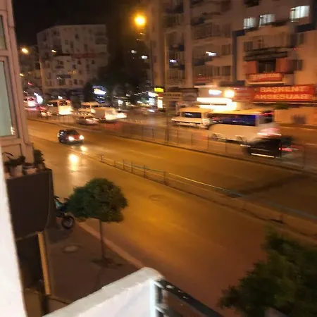 Location In The *